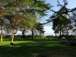 Fisherman´s Camp (lago Naivasha)