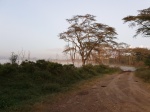 Niebla en Nakuru
Niebla, Nakuru