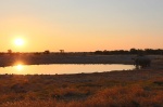 Waterhole Okaukuejo2
Waterhole, Okaukuejo