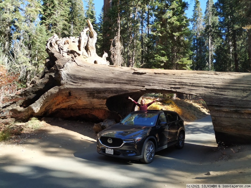 DIA 17 – SEQUOIA NP - Ruta soñada por la Costa Oeste de USA (2)