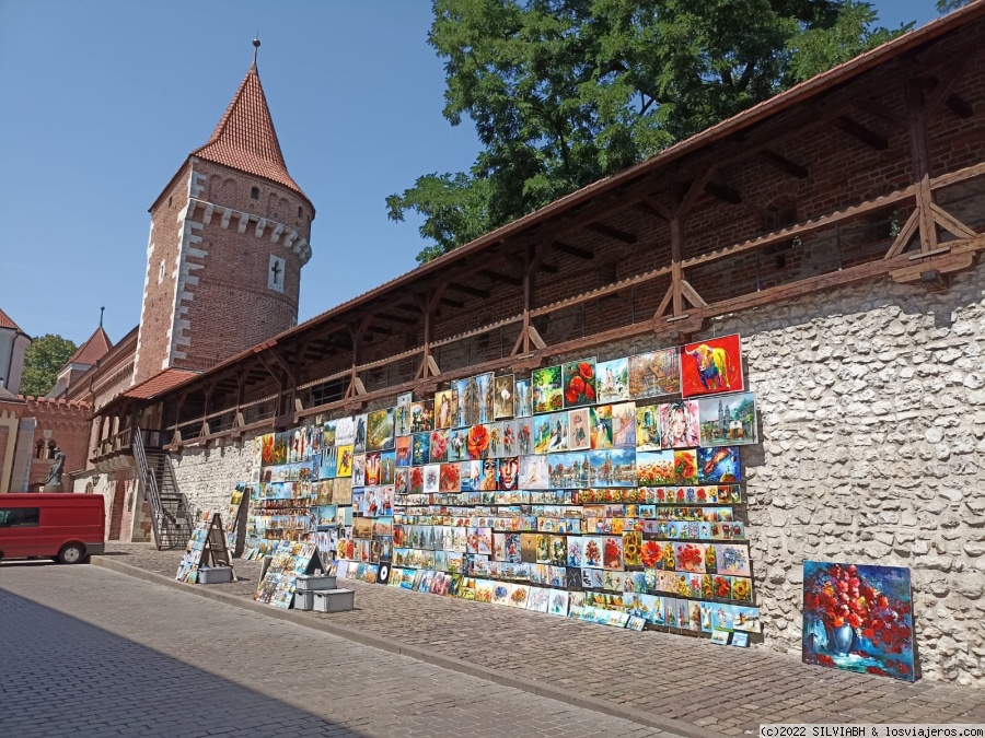 5 días por Cracovia y alrededores - Blogs de Polonia - DIA 3 - AUSCHWITZ - BIRKENAU (2)