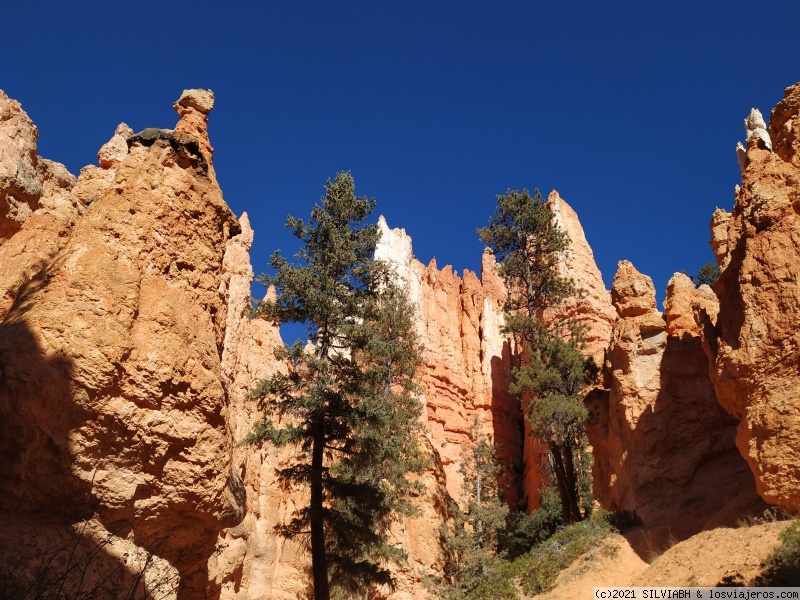 Ruta soñada por la Costa Oeste de USA - Blogs of USA - DIA 6 – BRYCE – ZION (1)