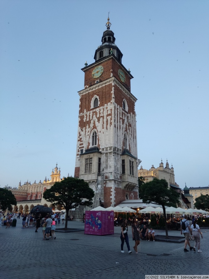 5 días por Cracovia y alrededores - Blogs of Poland - DIA 1 - COLINA DE WAWEL (5)