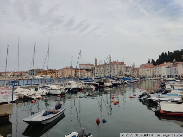 Puerto de Piran
Puerto de Piran
