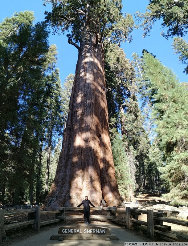 DIA 17 – SEQUOIA NP - Ruta soñada por la Costa Oeste de USA (3)