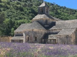 abadia
abadia, campos