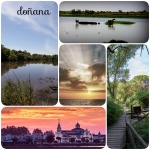 ALMONTE - PARQUE NACIONAL DE DOÑANA