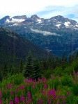 Alaska desde el White Pass Train