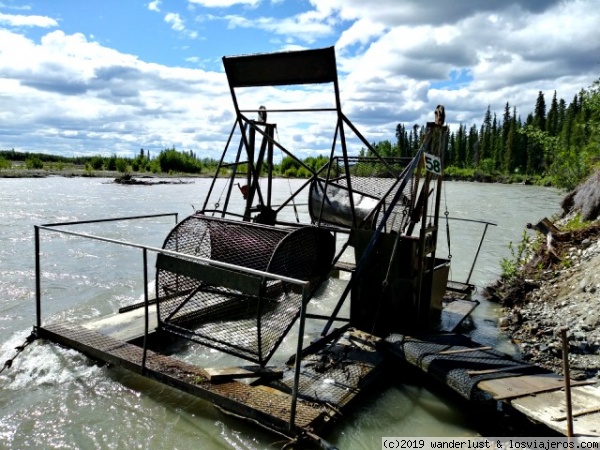 Fish wheel en Alaska
Dipositivo situado en las orillas de los ríos con corrientes fuertes, para atrapar peces, a modo de molino de agua.
