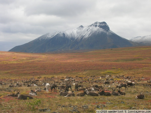 Valley Geysers, Valle de los Géiseres en Kamchatka (Rusia) ✈️ Foro Rusia, Bálticos y ex-URSS