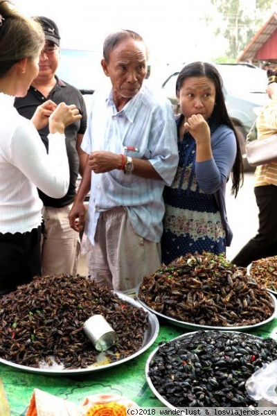 Skuon Spiderville en Camboya: mercado insectos, visita - Kampong Luong, Kampong Chhnang: Pueblos Flotantes Phnom Penh