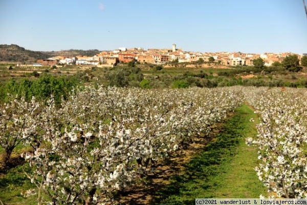 Paisajes en Flor de la Ribera de Ebro, Tarragona ✈️ Foro Cataluña