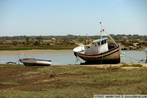 Marea baja en el Canal del Molino, Poblado de Sancti Petri
Canales y salinas de una cultura ya casi extinta, originada por el cultivo de la sal al modo artesanal, que hasta fechas recientes ocupó un gran lugar relevante en la economía de la bahía de Cádiz.
