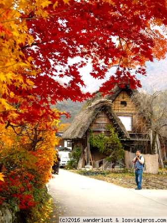 Inmortalizando el Momiji en Shirakawago
Una de las imágenes típicas del otoño en Japón es, la del enrojecimiento de las hojas, el llamado kōyō  o momiji. La aldea histórica de Shirakawago fue declarada Patrimonio de la Humanidad por la UNESCO en 1995.
