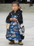 Vestido para shichi-go-san
festival, japón, noviembre, otoño, shichi-go-san, niños