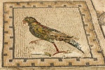 Detalle del mosaico de la Casa de los pájaros en Itálica
