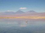 Salar de Atacama
Salar, Atacama, Chile, deposito, salino, grande, cuya, superficie, blanca, rugosa, oculta, simple, vista, gran, lago, salobre