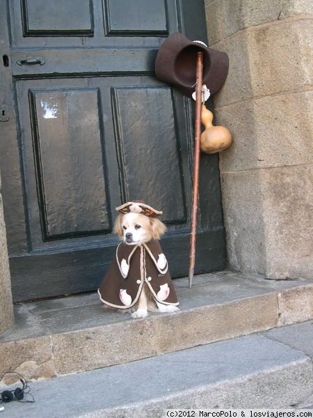 Ruta con perro: Hoces del Jarama y Monasterio de Bonaval