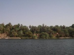 Frondosa vegetación en la orilla del Nilo
Orilla Nilo Egipto