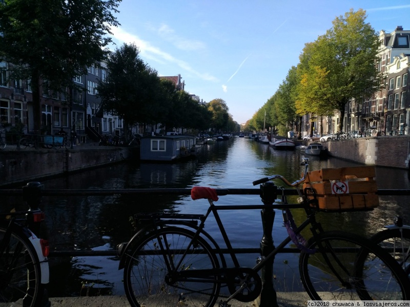 Amsterdam con niños pequeños. - Blogs de Holanda - Sábado 6 de octubre: Jordaan y Voldelpark (2)