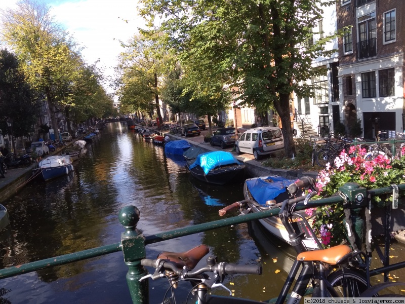 Amsterdam con niños pequeños. - Blogs de Holanda - Sábado 6 de octubre: Jordaan y Voldelpark (1)