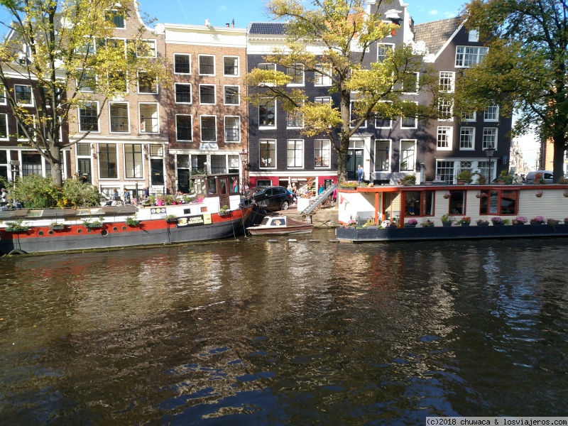 Amsterdam con niños pequeños. - Blogs de Holanda - Sábado 6 de octubre: Jordaan y Voldelpark (3)