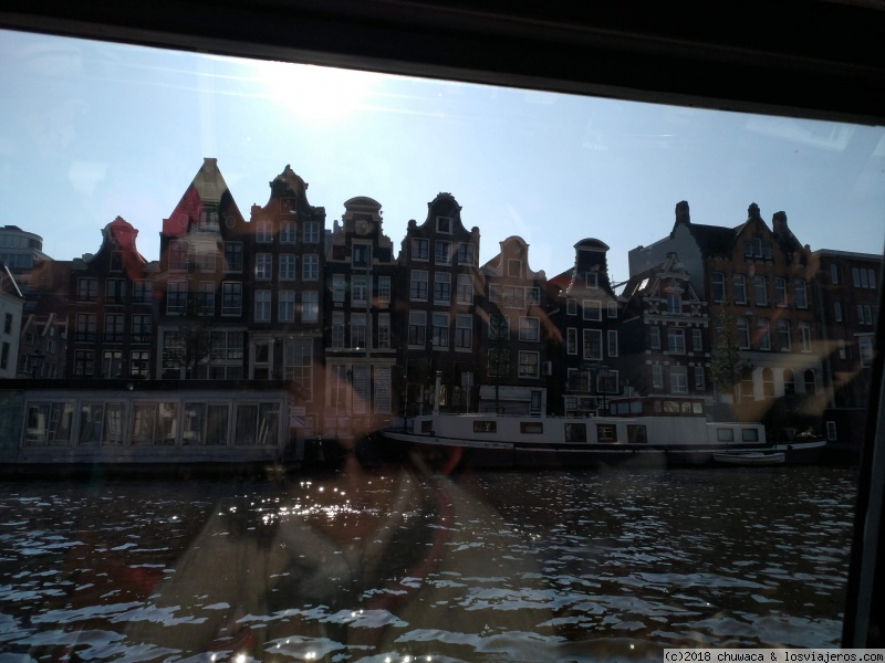 Amsterdam con niños pequeños. - Blogs de Holanda - Sábado 6 de octubre: Jordaan y Voldelpark (4)