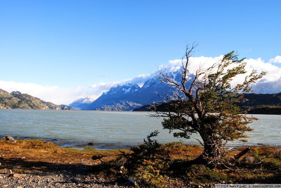 Llegada al parque Torres del Paine y navegación al Glaciar Grey - La Patagonia en el invierno de 2.024 (2)