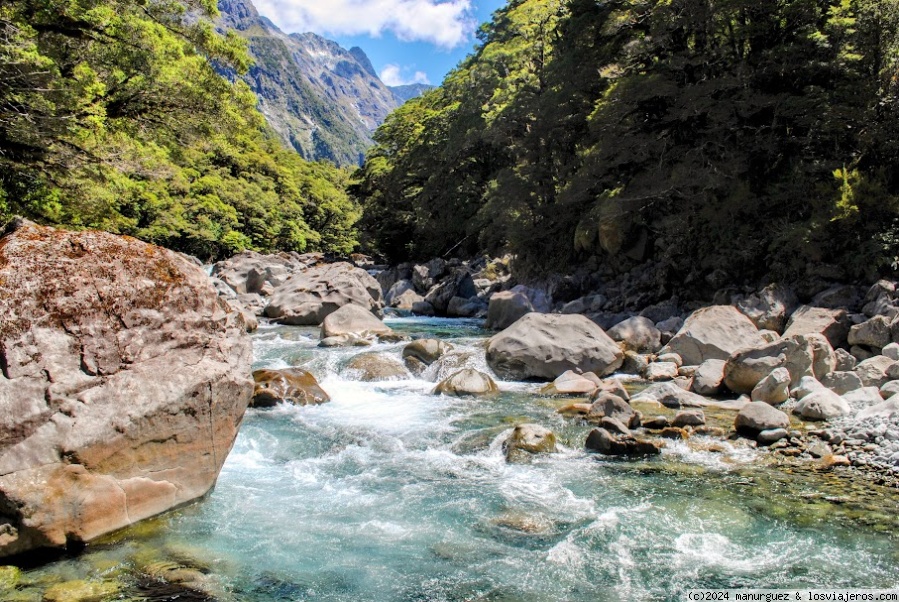 Últimas horas en el Fiorland: retorno de Milford Sound a Te Anau - En Oceanía: Escala en Australia, Isla Sur de Nueva Zelanda y Polinesia Francesa (1)