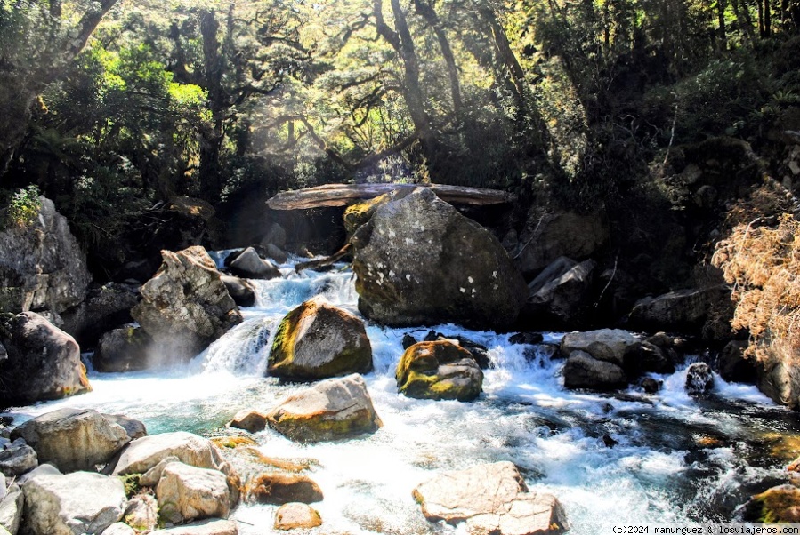 Últimas horas en el Fiorland: retorno de Milford Sound a Te Anau - En Oceanía: Escala en Australia, Isla Sur de Nueva Zelanda y Polinesia Francesa (4)