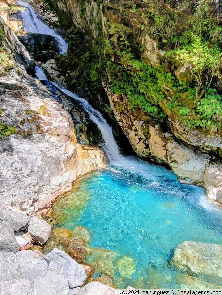 Últimas horas en el Fiorland: retorno de Milford Sound a Te Anau - En Oceanía: Escala en Australia, Isla Sur de Nueva Zelanda y Polinesia Francesa (2)