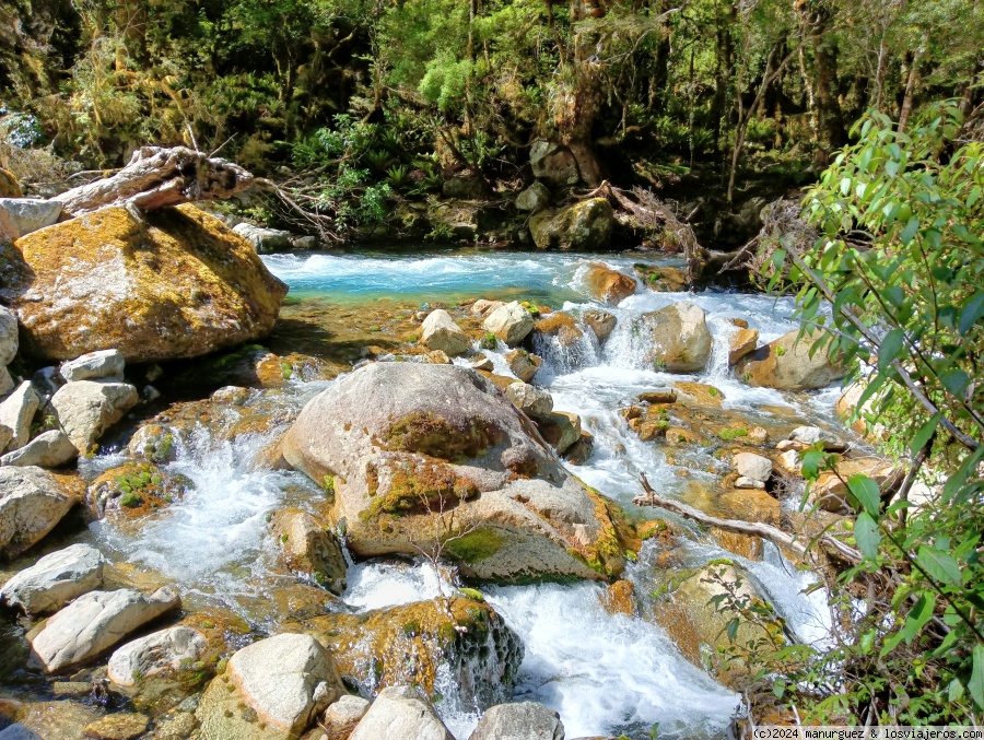 Últimas horas en el Fiorland: retorno de Milford Sound a Te Anau - En Oceanía: Escala en Australia, Isla Sur de Nueva Zelanda y Polinesia Francesa (5)
