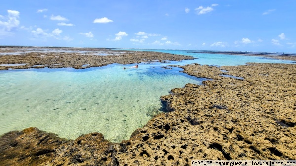 Las piscinas naturales del Pontal de Maracaipe
Menos conocidas que las de Maragogi, estas piscinas naturales tienen la ventaja de estar mucho menos concurridas y que se forman en todas las mareas bajas
