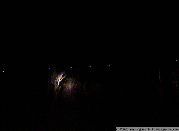 Ojos de cebras
La línea de puntitos brillantes en la oscuridad la forman los ojos de una manada de cebras marchando en hilera para pasar camuflarse con las ramas de los arbustos. Foto tomada en safari nocturno en el Parque Kruger de Sudáfrica, en agosto de 2.016
Ojos de cebras
La línea de puntitos brillantes en la oscuridad la forman los ojos de una manada de cebras marchando en hilera para pasar camuflarse con las ramas de los arbustos. Foto tomada en safari nocturno en el Parque Kruger de Sudáfrica, en agosto de 2.016