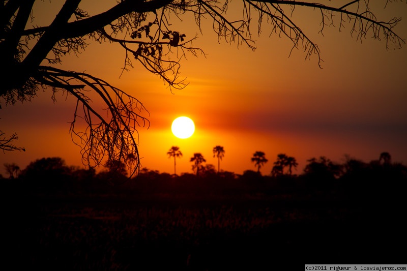 Foro de Okavango Kananga en África del Sur: Atardecer en el Okavango