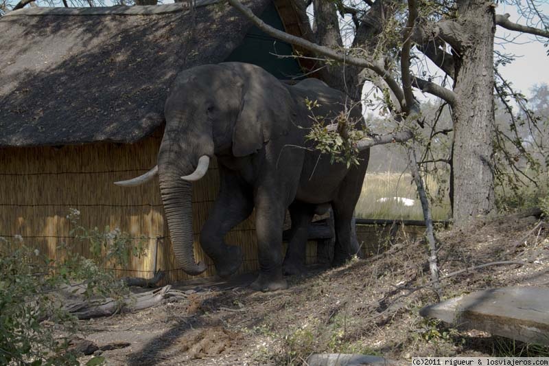 Botswana: ruta del rio perdido