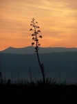 mediterraneo
mediterraneo, fotografria, nuestro, atardecer