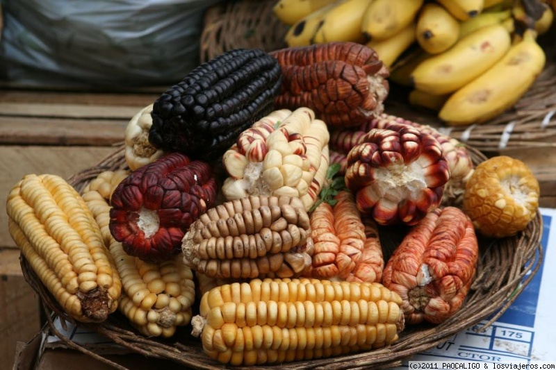 Foro de Cusco: Plato con mazorcas de Maiz
