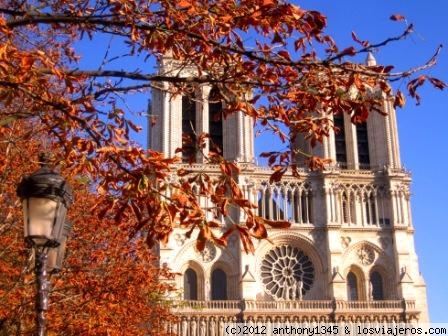 Otoño en París
La catedral de Notre Dame de París a través de las ramas otonales de un árbol
