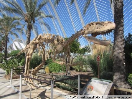 Esqueleto de dinosaurio en la Ciudad de las Artes y las Ciencias, Valencia
Esqueleto de Yangchuanosaurus (sinraptórido chino de unos 7 metros de largo que vivió hace unos 100 MDA) en la galería de los dinosaurios de la Ciudad de las Artes y las Ciencias de Valencia
