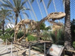 Esqueleto de dinosaurio en la Ciudad de las Artes y las Ciencias, Valencia
Valencia