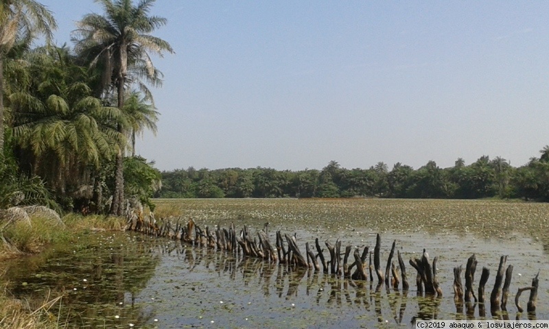 Viajar a  Africa: AFRICA MONGE, ESKELA - Laguna en Casamance (AFRICA MONGE, ESKELA)