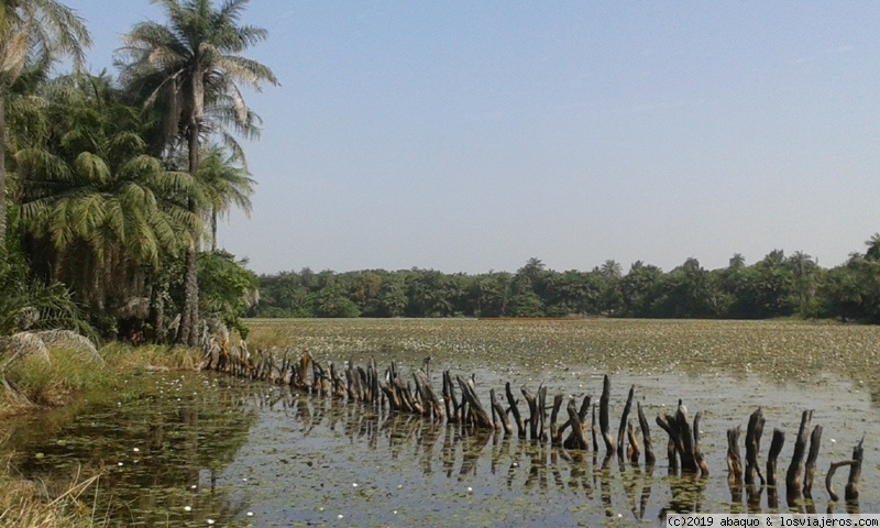 Viajar a  Africa: Senegal  Kolda - Laguna en Casamance (Senegal  Kolda)