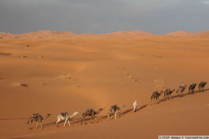 Paseo por el Desierto Marroquí en Video