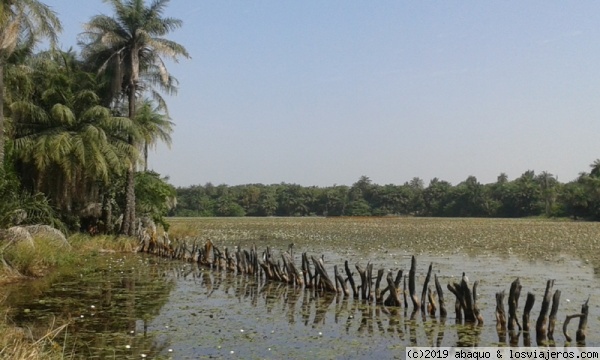 Laguna en Casamance
En Kafountine y en muchas otras zonas africanas se forman lagunas estacionales tras la época de lluvias
