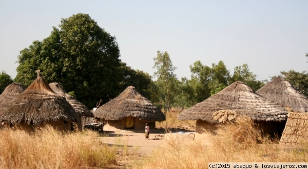Poblado en Gambia
En el interior del país, existen aldeas formadas por chozas
