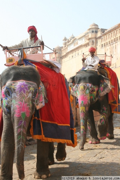 En Jaipur
Los decorados elefantes suben y bajan a la gente que accede al palacio
