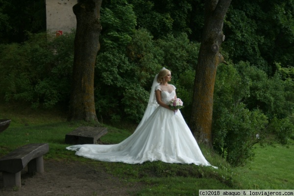 Novia posando
Como una profesional, esta novia posaba en los jardines de un palacio en Letonia

