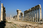 Apamea, Siria
Siria ruinas romano columnas cardo