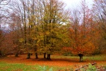 Otoño en Urkiola-Parque Natural de Urkiola